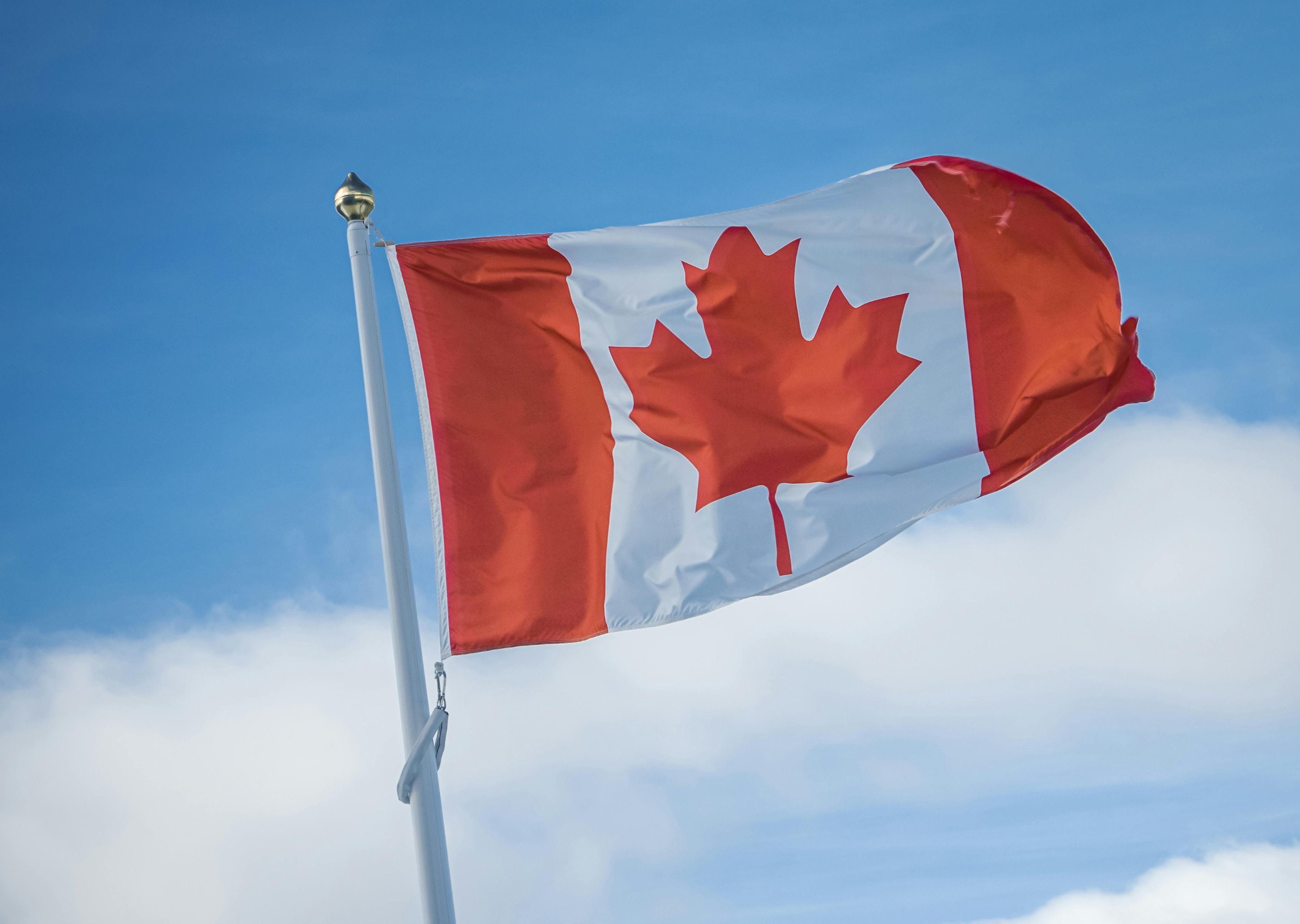 Proudly Canadian: Supporting Local Businesses During Challenging Times